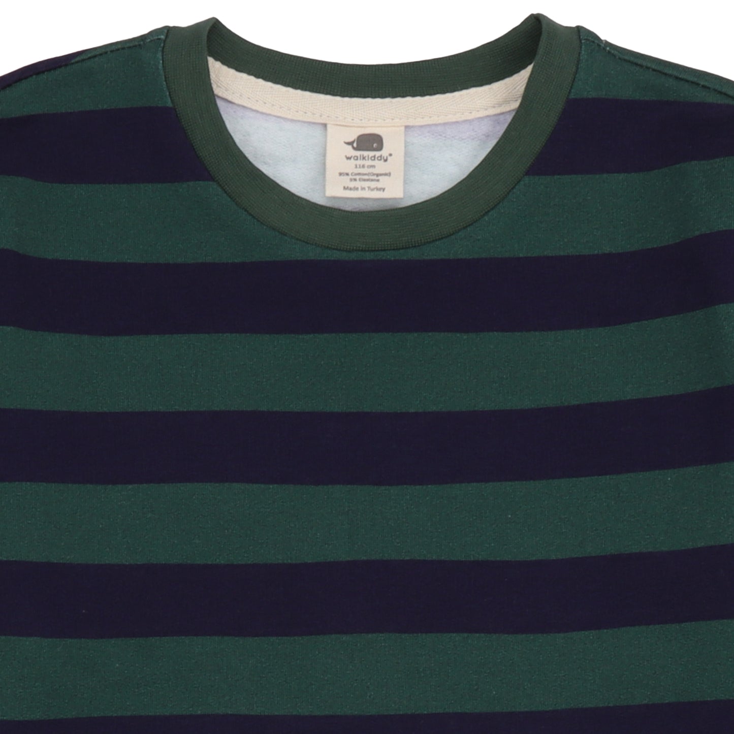 Felpa in Cotone Biologico - Righe Verde/Blu