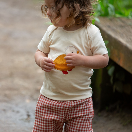 T-shirt in Cotone Biologico - Anatroccolo