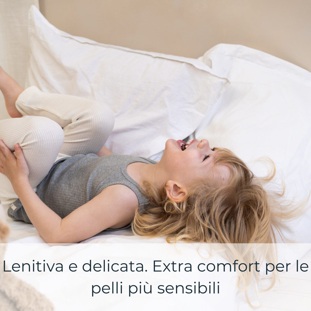 Seta