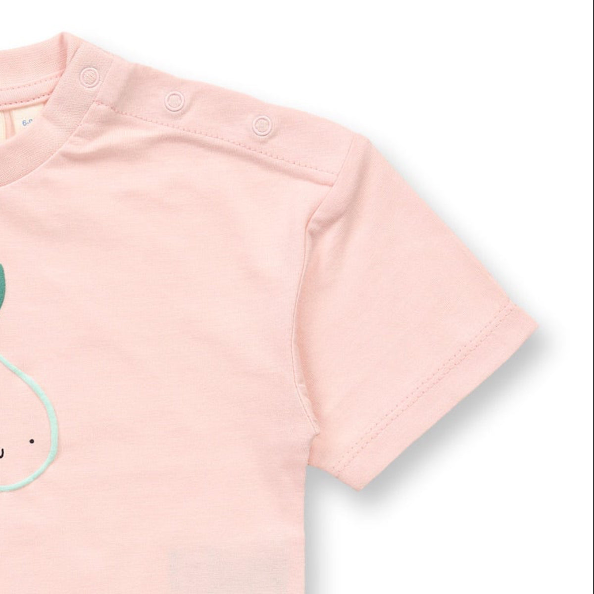 T-shirt in Cotone Biologico - Frutta
