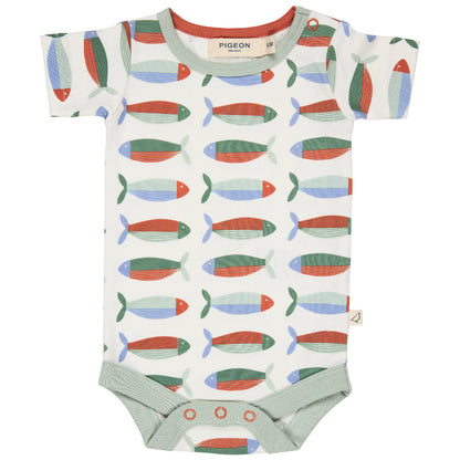 Body in Cotone Biologico - Sardine