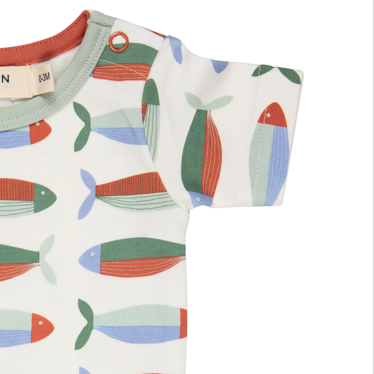Body in Cotone Biologico - Sardine