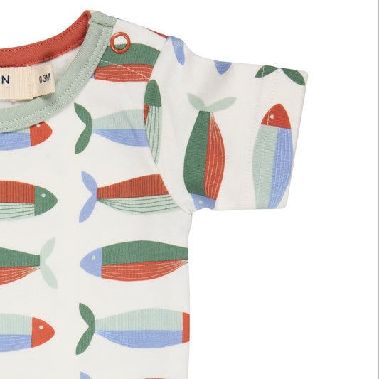 Body in Cotone Biologico - Sardine