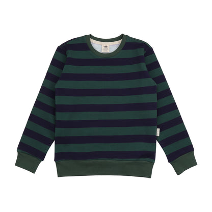 Felpa in Cotone Biologico - Righe Verde/Blu