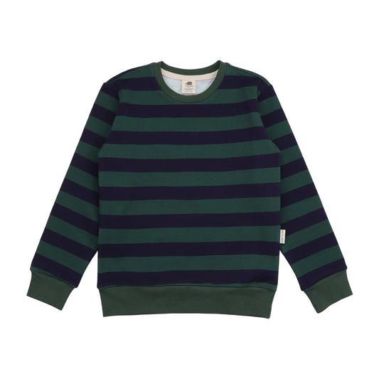 Felpa in Cotone Biologico - Righe Verde/Blu