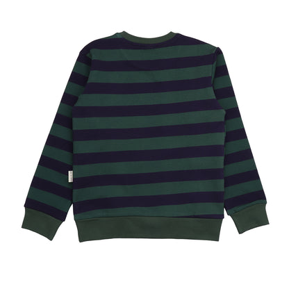 Felpa in Cotone Biologico - Righe Verde/Blu