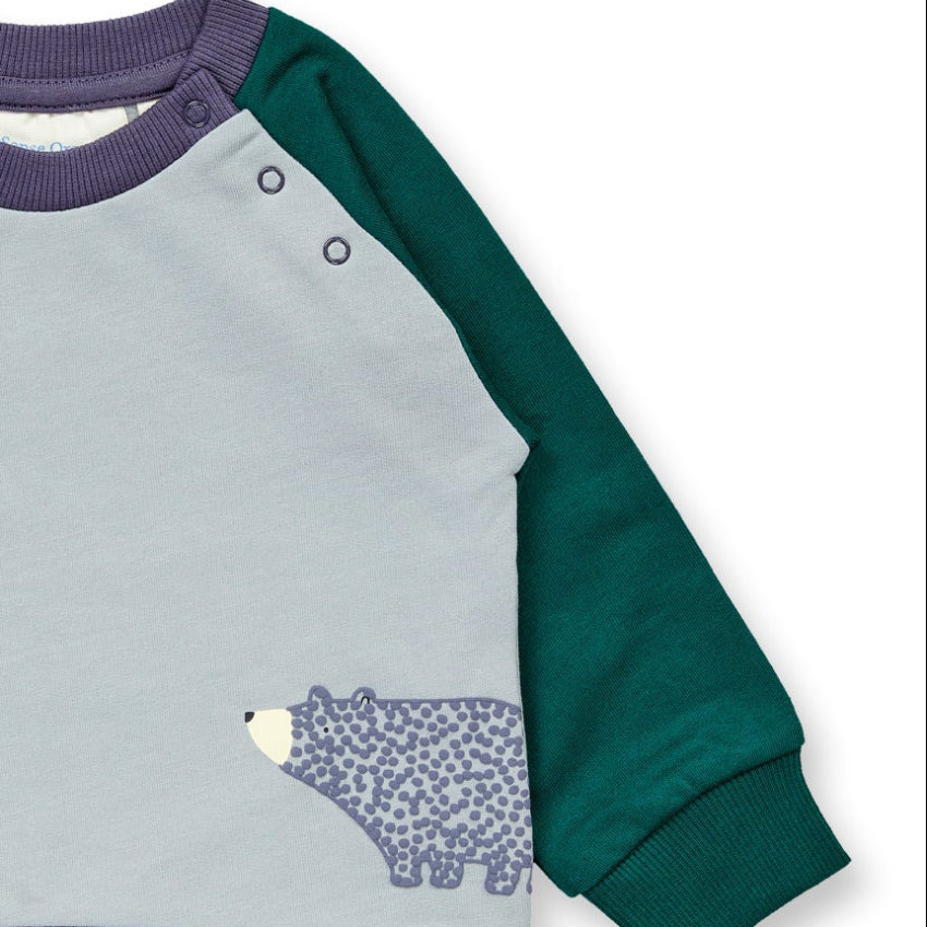 Felpa in Cotone Biologico Woodland - Grigio/Verde