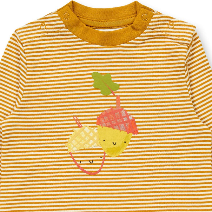Maglia in Cotone Biologico Ghiande - Righe Curry