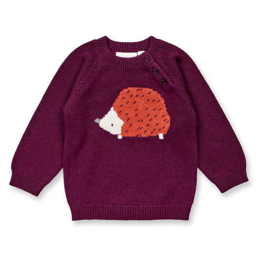 Maglioncino in Cotone Biologico - Riccio