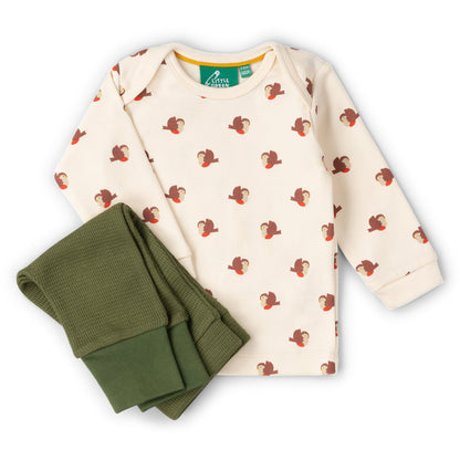 Set 2 pezzi in Cotone Biologico - Pettirosso