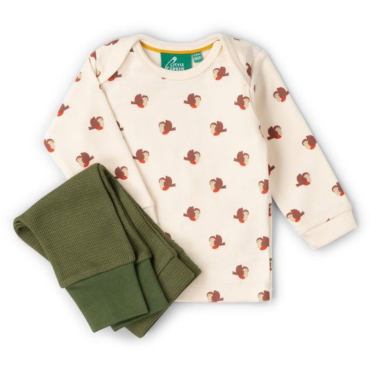 Set 2 pezzi in Cotone Biologico - Pettirosso