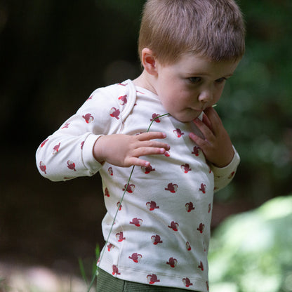 Set 2 pezzi in Cotone Biologico - Pettirosso