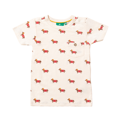 T-shirt in Cotone Biologico - Bassotti
